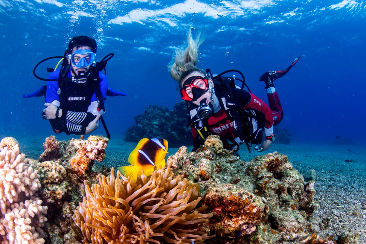 ים סוף אילת