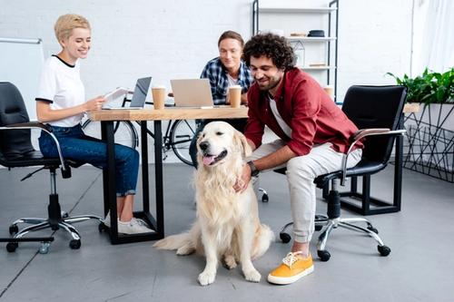 There are three people working in an office setting while a large tan colored dog sits on the floor being pet by one of the guy. 