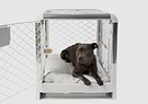 A brown dog laying in a white dog crate
