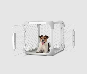  A dog sitting inside of a white dog crate 