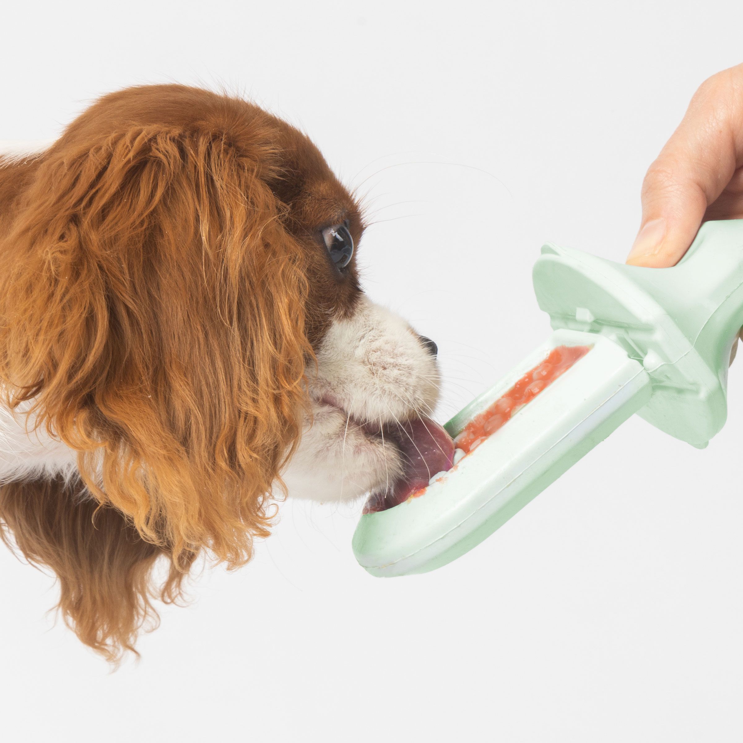 Dog licking Pup-kin Spice Treat Spread off of a Groov Training Aid held by a human