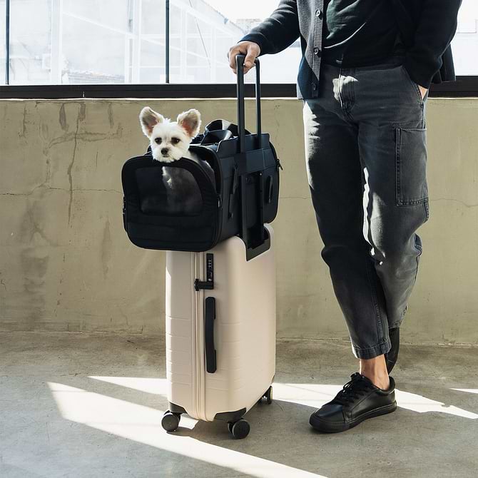 Passenger Travel Carrier with dog inside, fastened to a suitcase and wheeled by a man