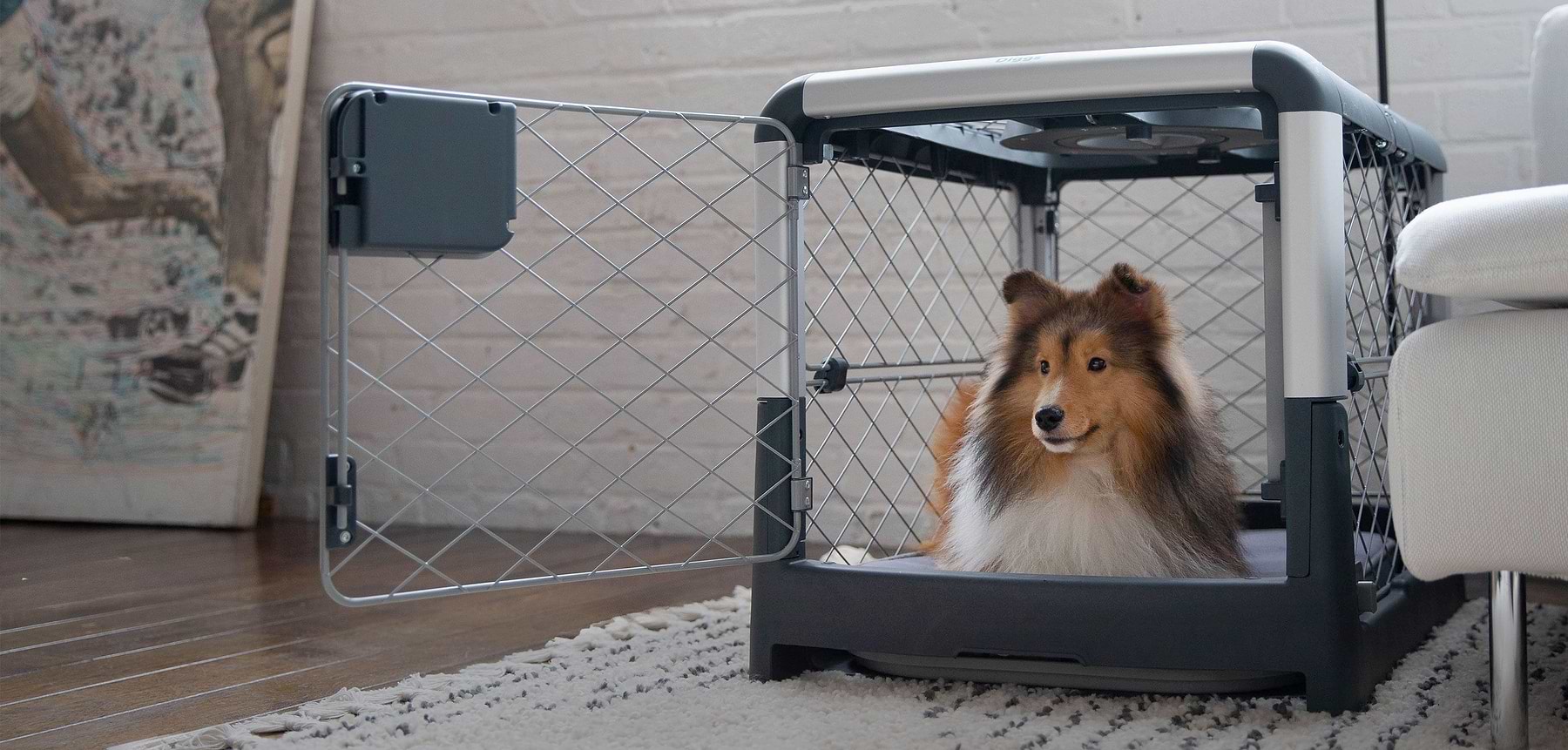 Revolutionary Dog Crates and Pet Beds - DIGGS® - Diggs