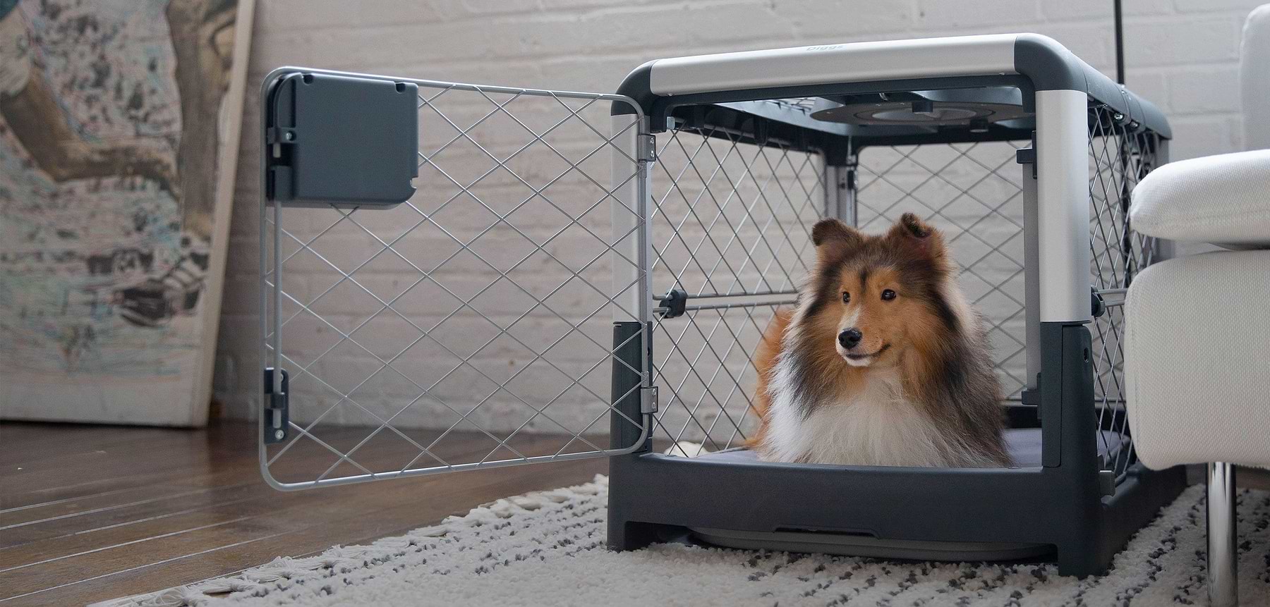 Diggs revol collapsible dog new arrivals crate