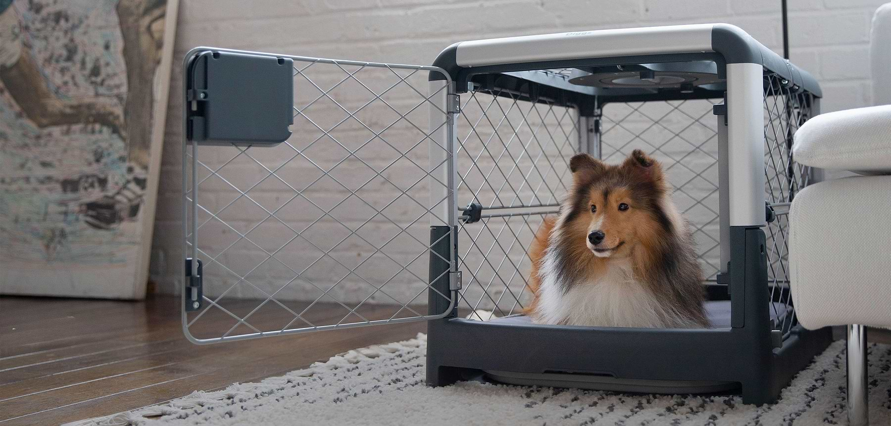 Collie inside of a grey Revol Dog Crate in a modern livingroom