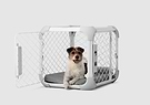 A small dog sitting in a white dog crate