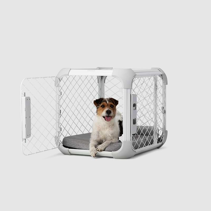 A small dog sitting in a white dog crate