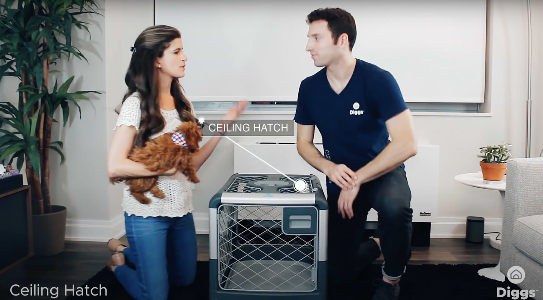  a woman holding a dog next to a man in front of a grey Revol crate 