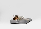 Diagonal view of Bolstr Dog Bed with terrier dog laying and resting head on bolstered headrest,