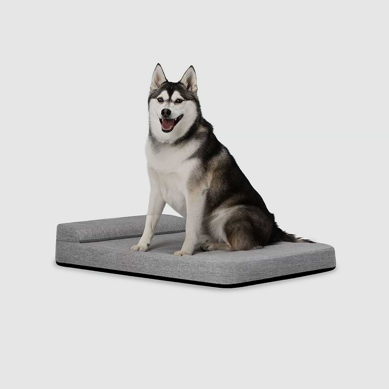 A husky dog sitting on a dog bed