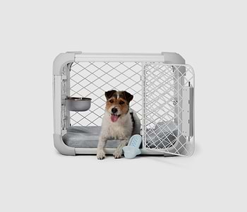  A small dog sitting in a dog crate 