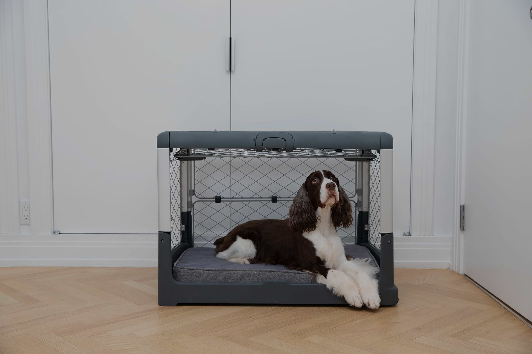  A dog lying on the Snooz Pad, inside an open garage door Revol Crate. 