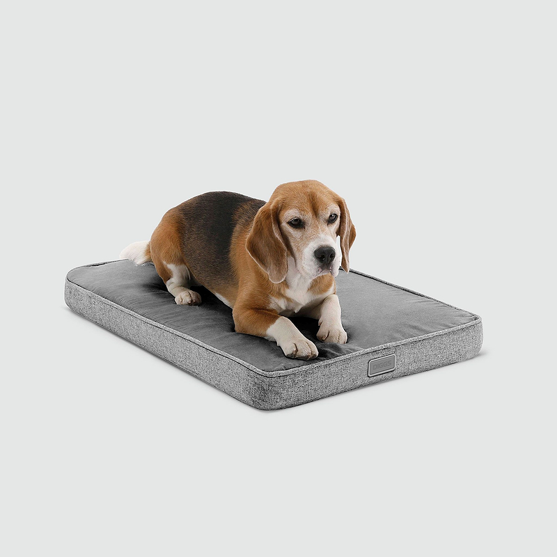Snooz Revol Pad
