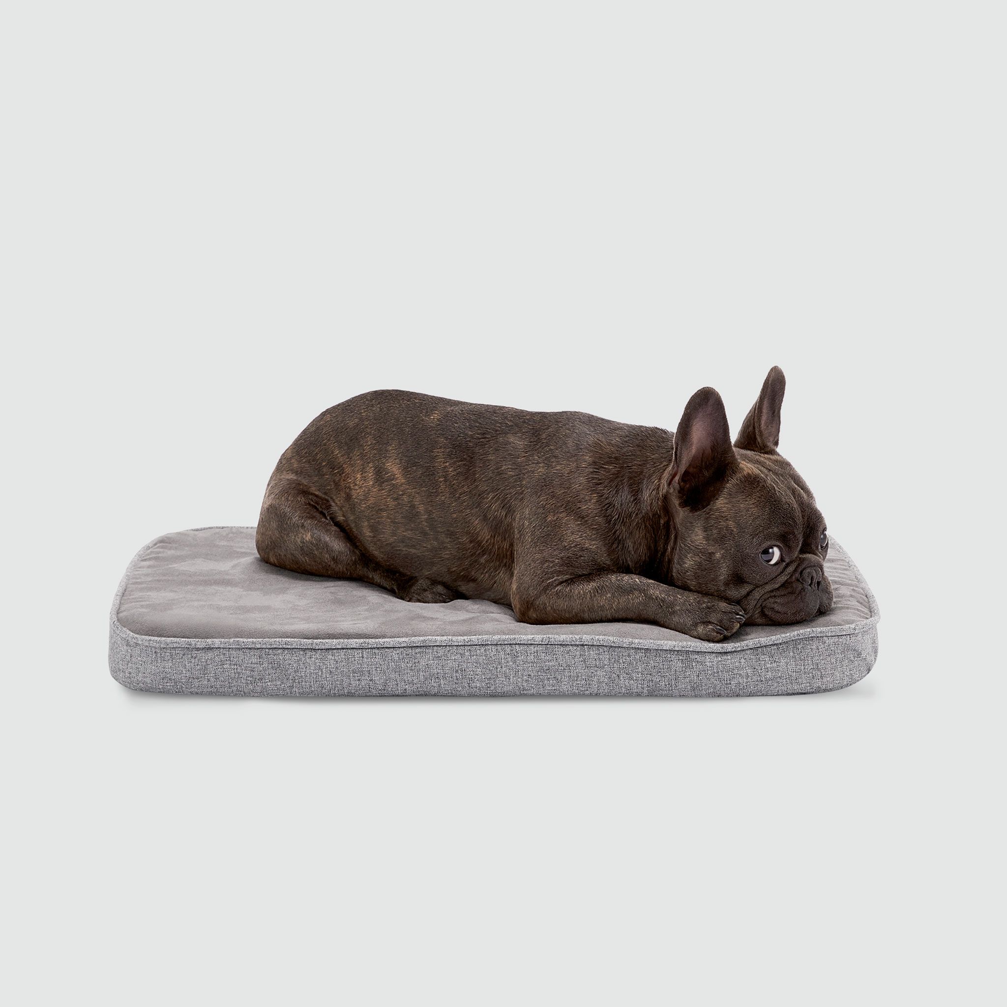 A brown dog laying on top of a dog bed