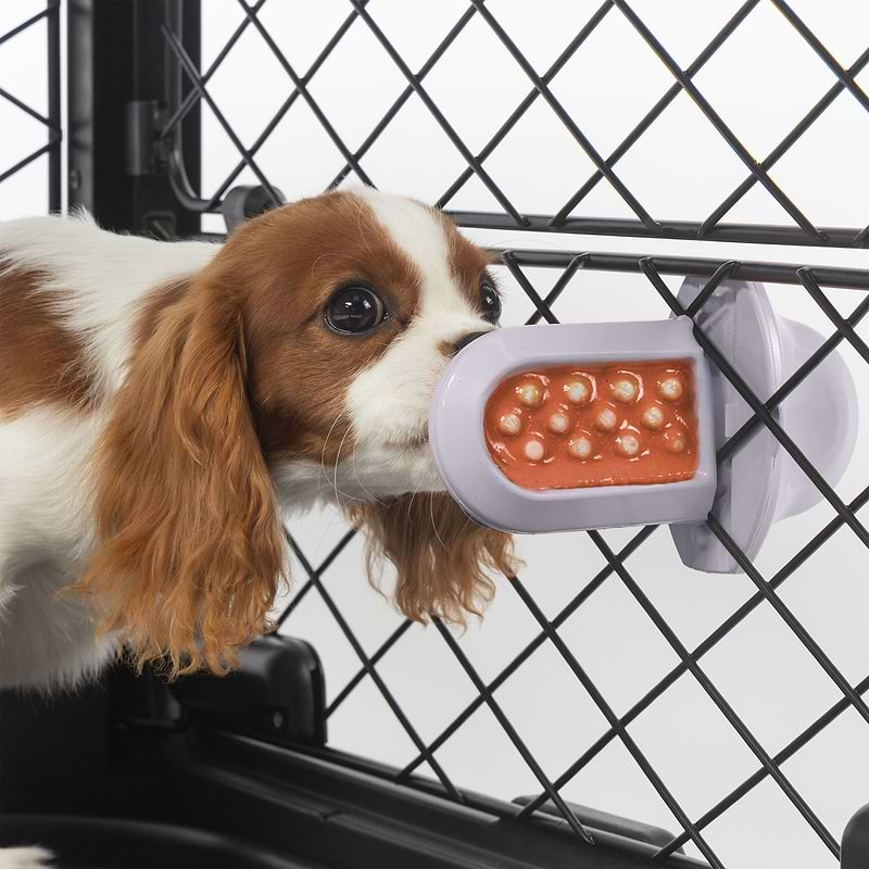 A brown and white dog licking a Groov Training Aid attached to a crate