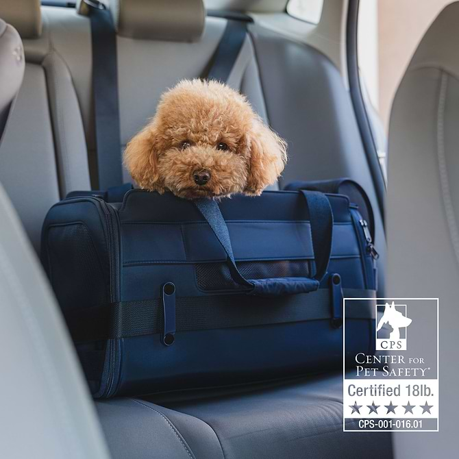  a dog sitting in a Navy Passenger fastened with a car seat and a logo signifying testing by the Center for Pet Safety 