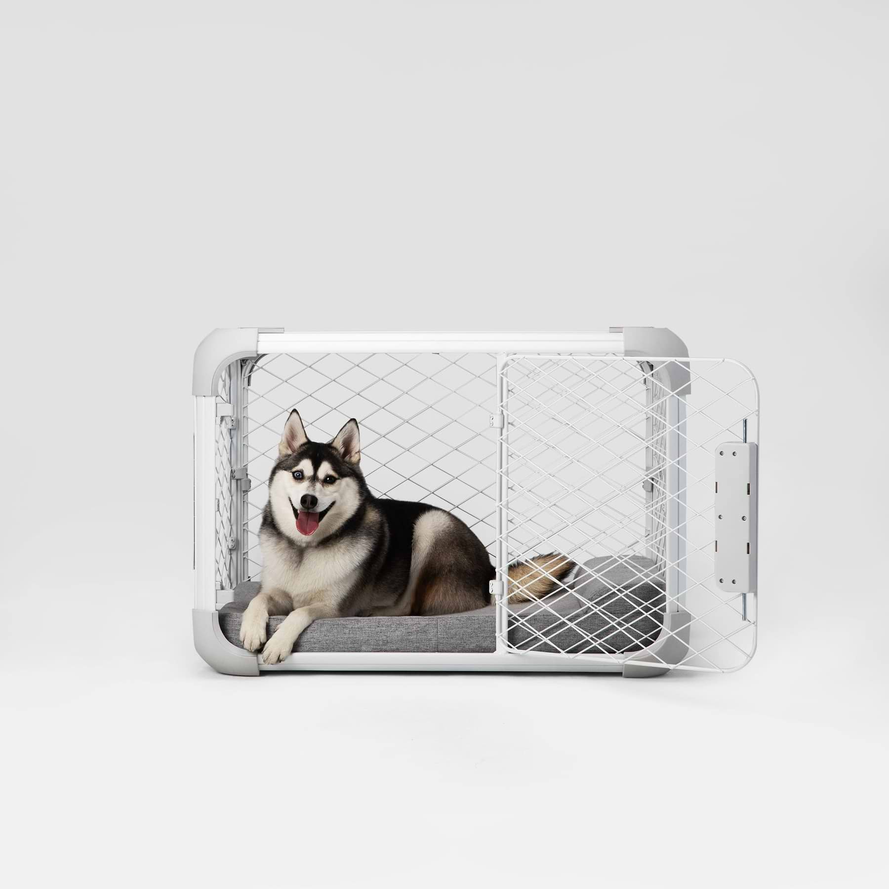 Dog chewing blanket in crate hotsell