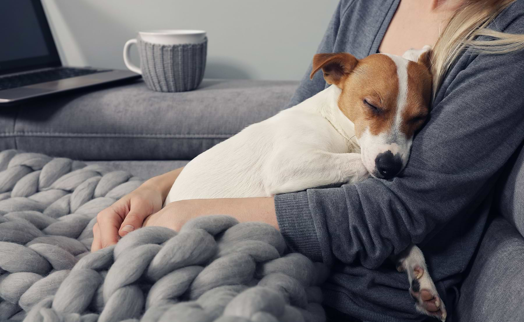  A dog sleeping on its owner's chest. 