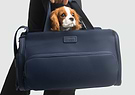 A dog is peeking out of a blue Passenger pet carrier bag