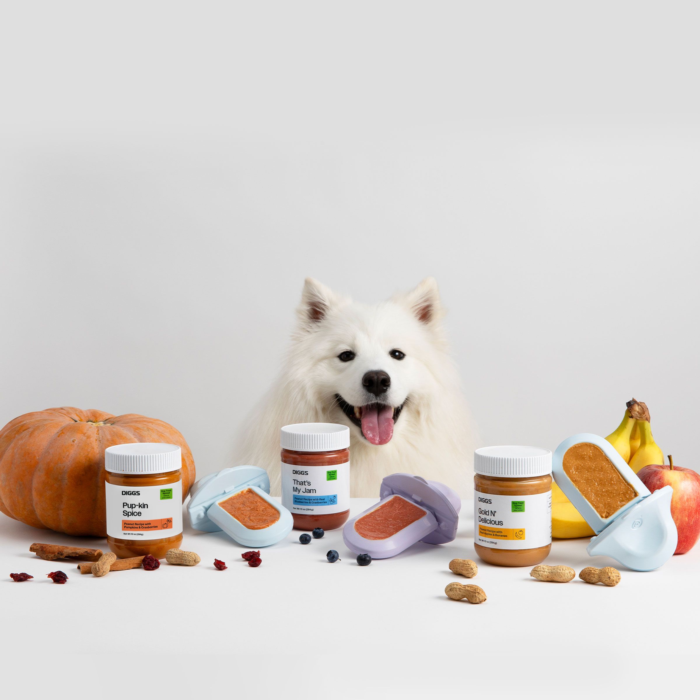 All three flavors of Diggs Treat Spreads and Groov Crate Training Aid laid out on a table next to the ingredients (nuts, fruits) in front of a dog