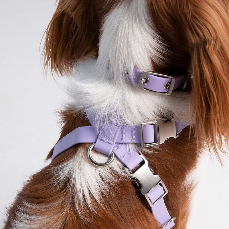 Harness Dog xSmall Lilac Back