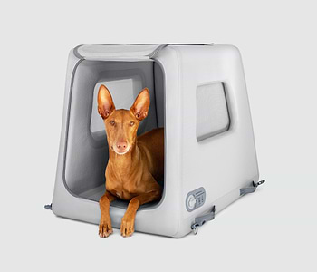  A brown dog laying inside of an Enventur Travel Kennel 