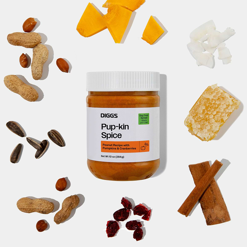 Pup-kin Spice Treat Spread on white background next to its ingredients (nuts, fruits, honey, pumpkin)
