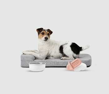  a dog laying on top of a Bolstr dog bed next to a bowl of dog food and a Groov 