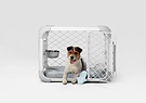 Side view dog inside of Evolv Dog Crate with open side door. Diggs Crate Bowl and Bolstr Dog Bed are in use inside the crate, with blue Groov crate training aid pictured in the foreground.