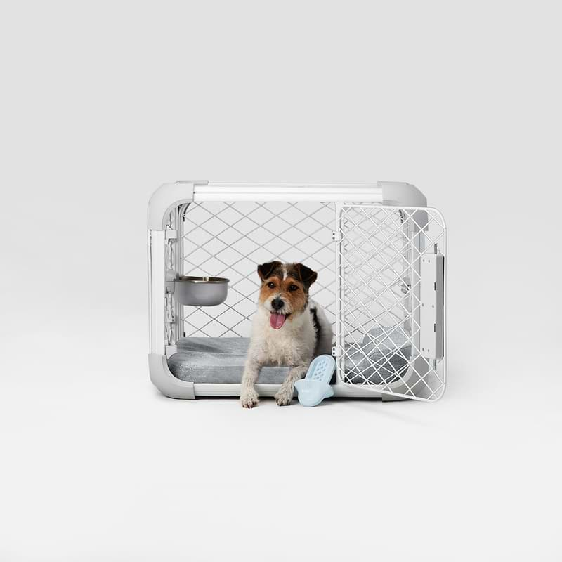 Side view dog inside of Evolv Dog Crate with open side door. Diggs Crate Bowl and Bolstr Dog Bed are in use inside the crate, with blue Groov crate training aid pictured in the foreground.