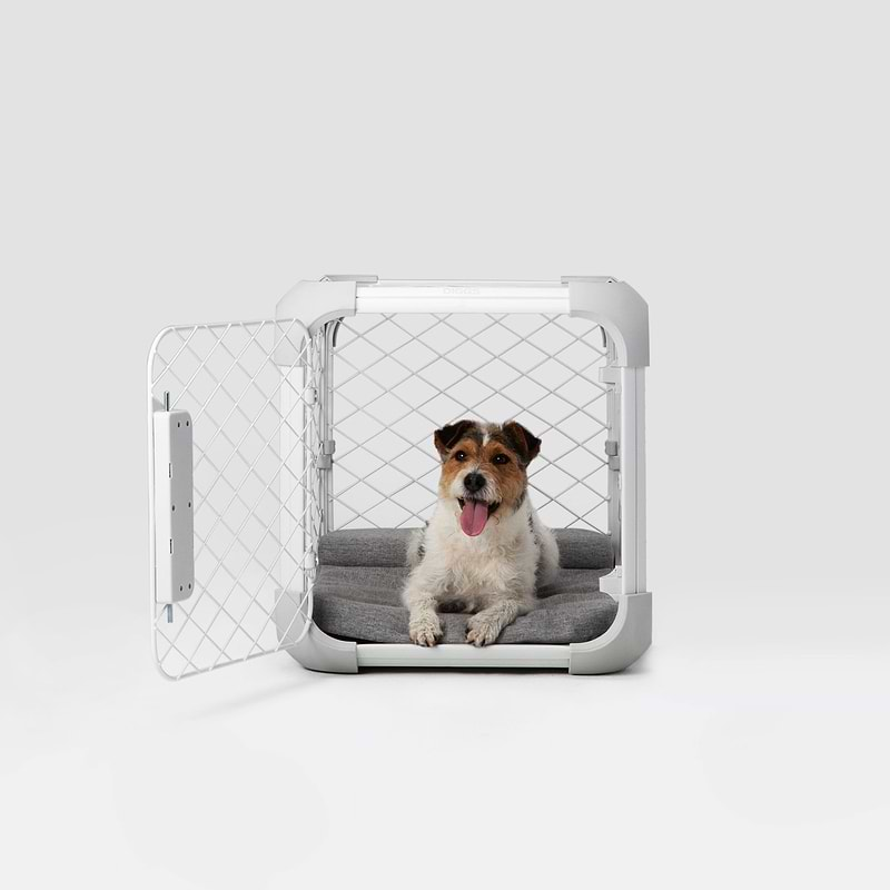 a dog sitting inside of an Evolv dog crate pictured from the front with the door open