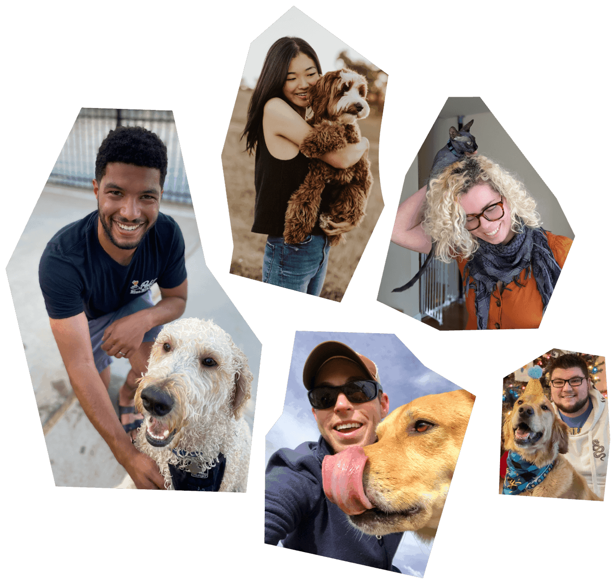 Five collage photos of 5 owners together with their dogs.
