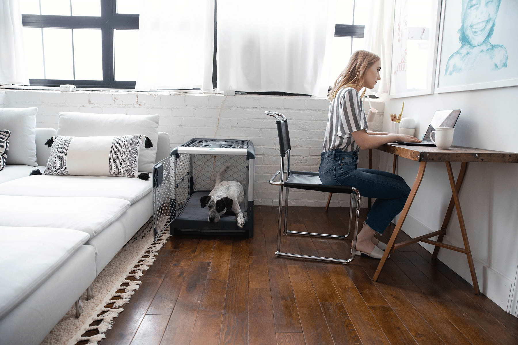  a woman sitting at a desk with a laptop next to a dog in a Grey Revol crate 