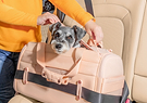 A dog inside a Passenger Travel Carrier in Blush, sitting in the passenger side of the car tucked in a seatbelt.