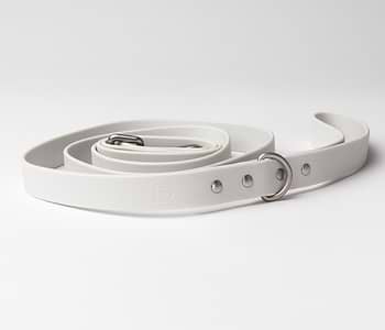  Diggs dog leash in color Ash (Off-white) with silver matte metal accents. 