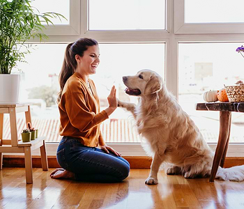 a woman sitting on the floor petting a dog 