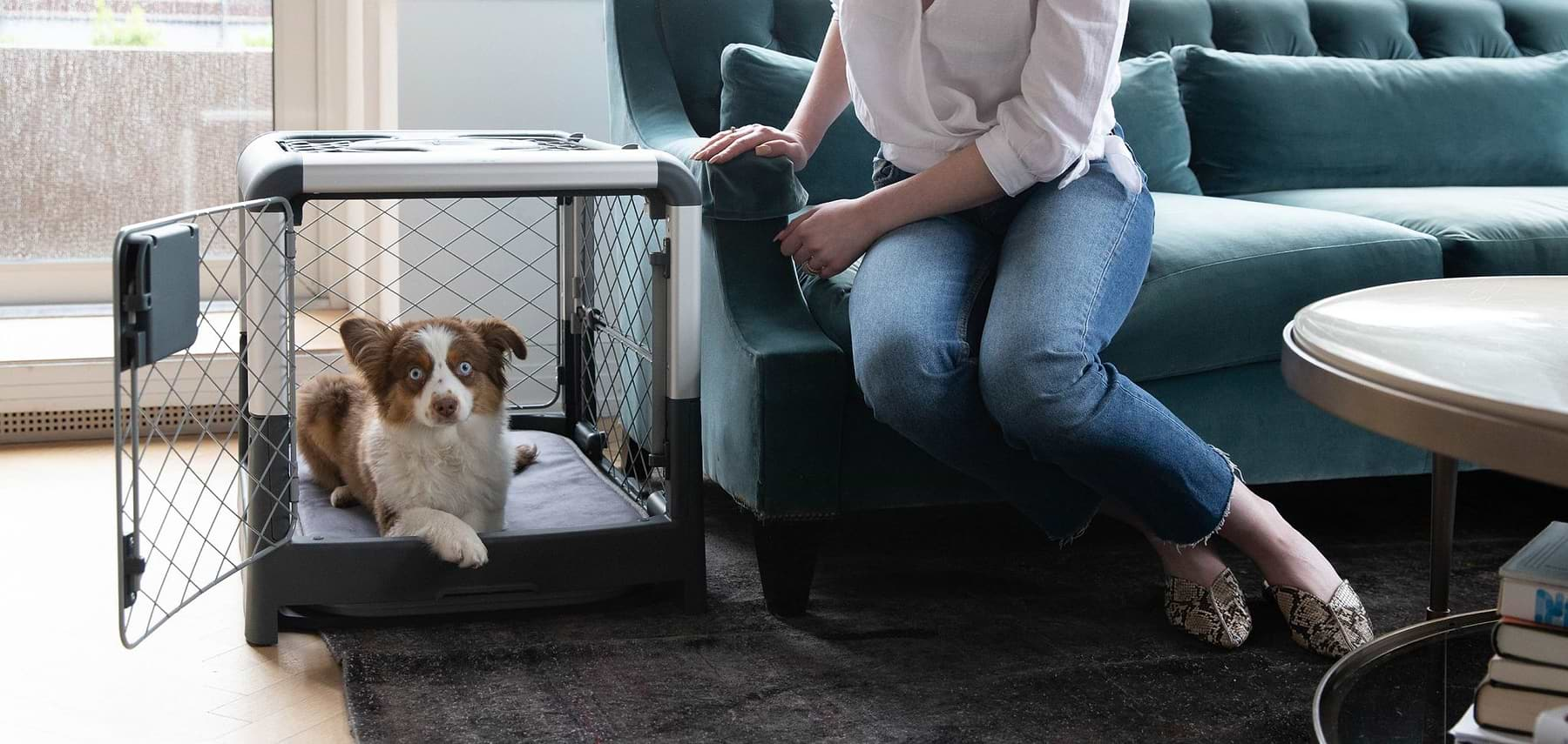  a woman sitting on a couch next to a dog in a grey Revol 