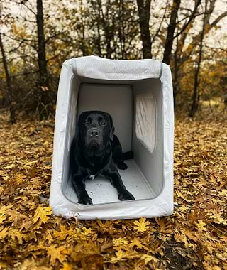  Black lab in Enventur kennel in the woods 