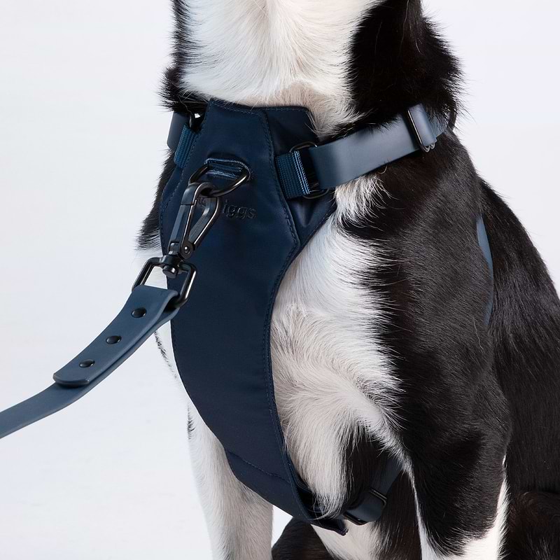 Classic Harness Diggs