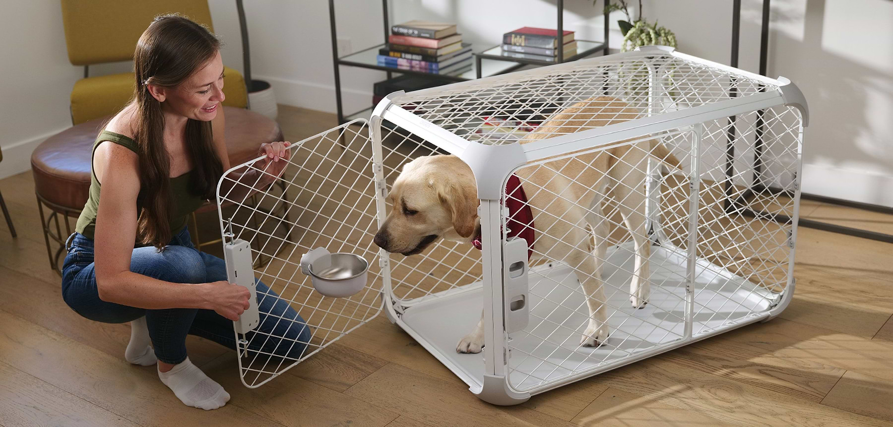  Yellow lab in Evolv Dog Crate with Diggs Crate Bowl attached. A woman is opening the crate door in a livingroom. 