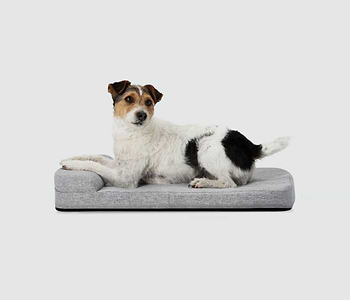  A dog laying on top of a dog bed 
