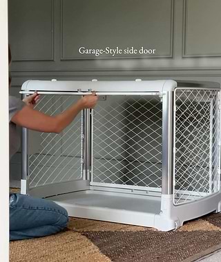 Dog peeing in kennel clearance