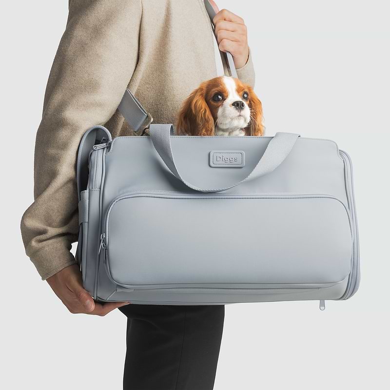 A person carrying a Passenger pet carrier bag with a dog in it