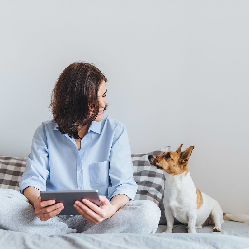 Woman with an iPad on her bed next to her dog