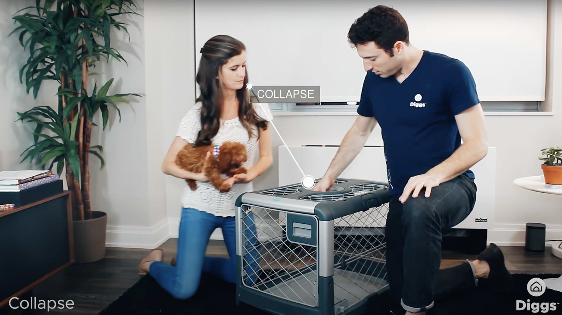  Zel and the model holding a puppy, demonstrating how to collapse the Revol Crate. 