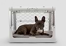 A small dog is sitting in a dog crate