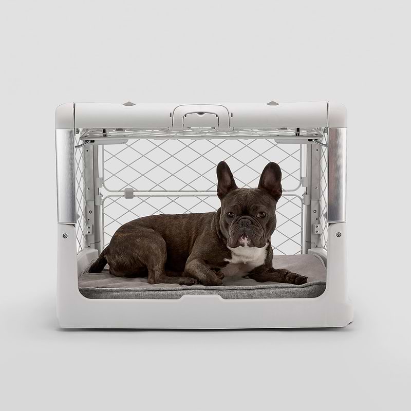 A small dog is sitting in a dog crate