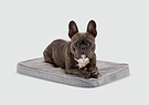  A small brown dog laying on top of a dog bed 