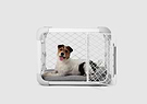 A dog in a dog crate with a white background