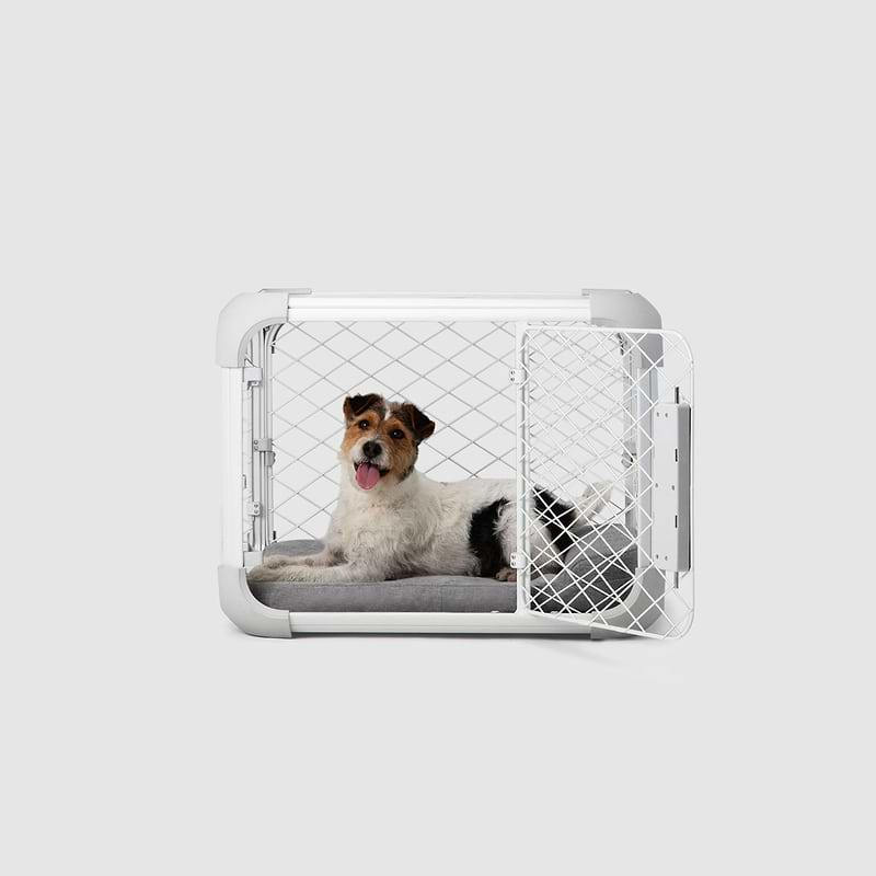 A dog in a dog crate with a white background